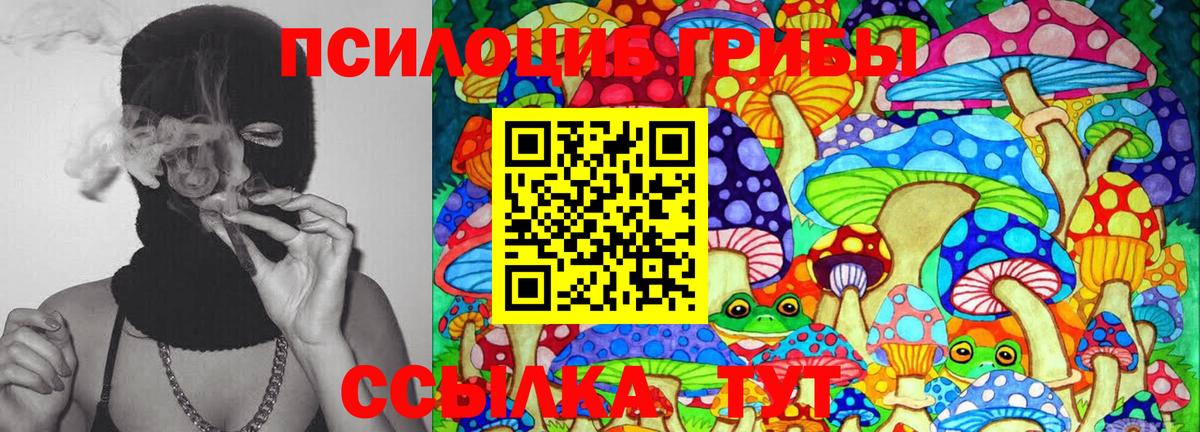 Псилоцибиновые грибы Cubensis  продажа наркотиков  Самара  Вход с VPN  Псилоцибиновые грибы Psilocybe 