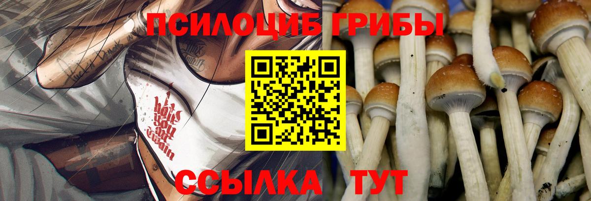Галлюциногенные грибы мицелий Самара